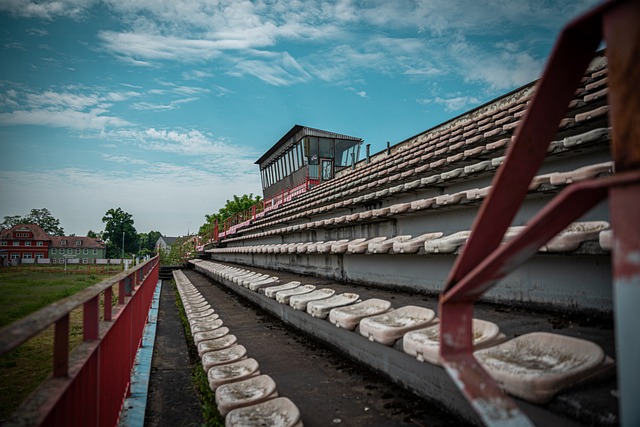 强有力的 强有力的