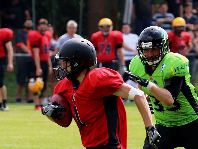 景無可挑剔 景無可挑剔