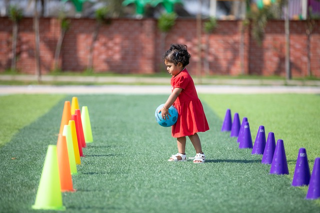 一个国家提 一个国家提